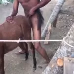 African Bestiality Porn Video Leaked Online