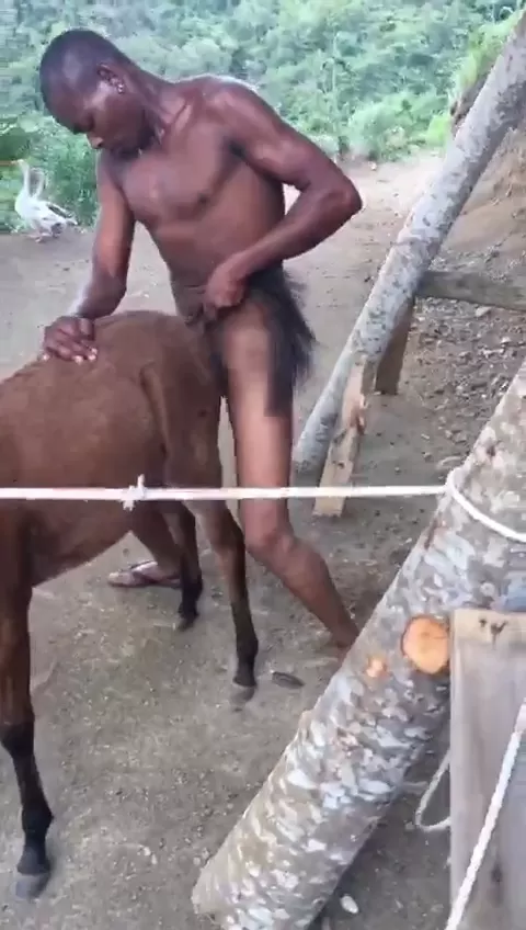 Donkey Xx Video Ok - African Bestiality Porn Video Leaked Online | Kenya Adult Blog