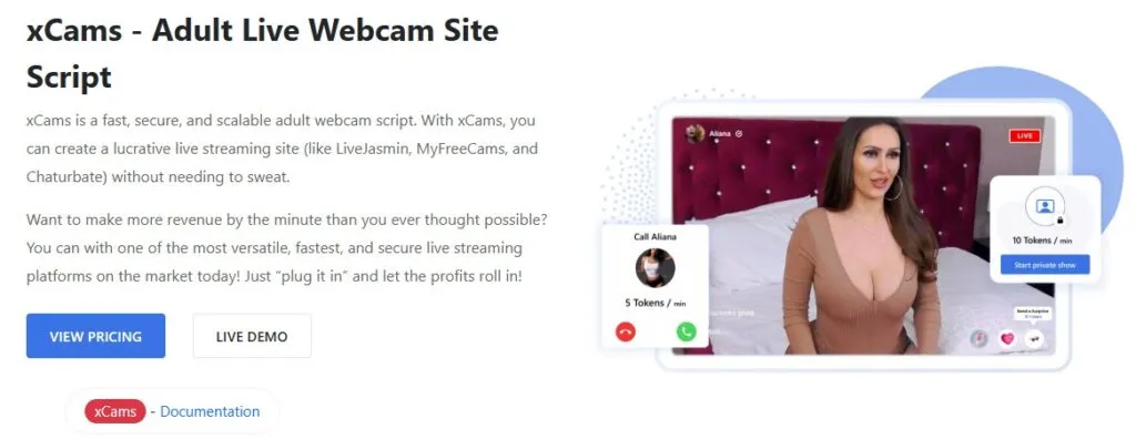 xCams is an advanced adult live webcam script 